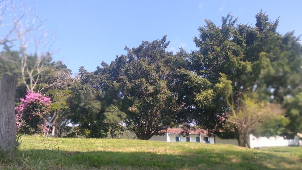 Vista aérea cinematográfica do Haras em Sarapuí, interior de São Paulo